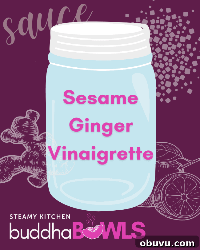 Sesame Ginger Vinaigrette Recipe for Salads and Marinades 2 sesame ginger vinaigrette recipe title card