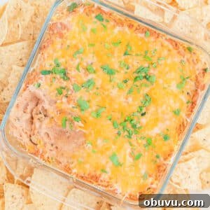 Cheesy Baked Refried Bean Dip for Parties and Game Day 8 Glass dish with baked bean dip topped with melted cheese and chopped herbs, surrounded by tortilla chips.