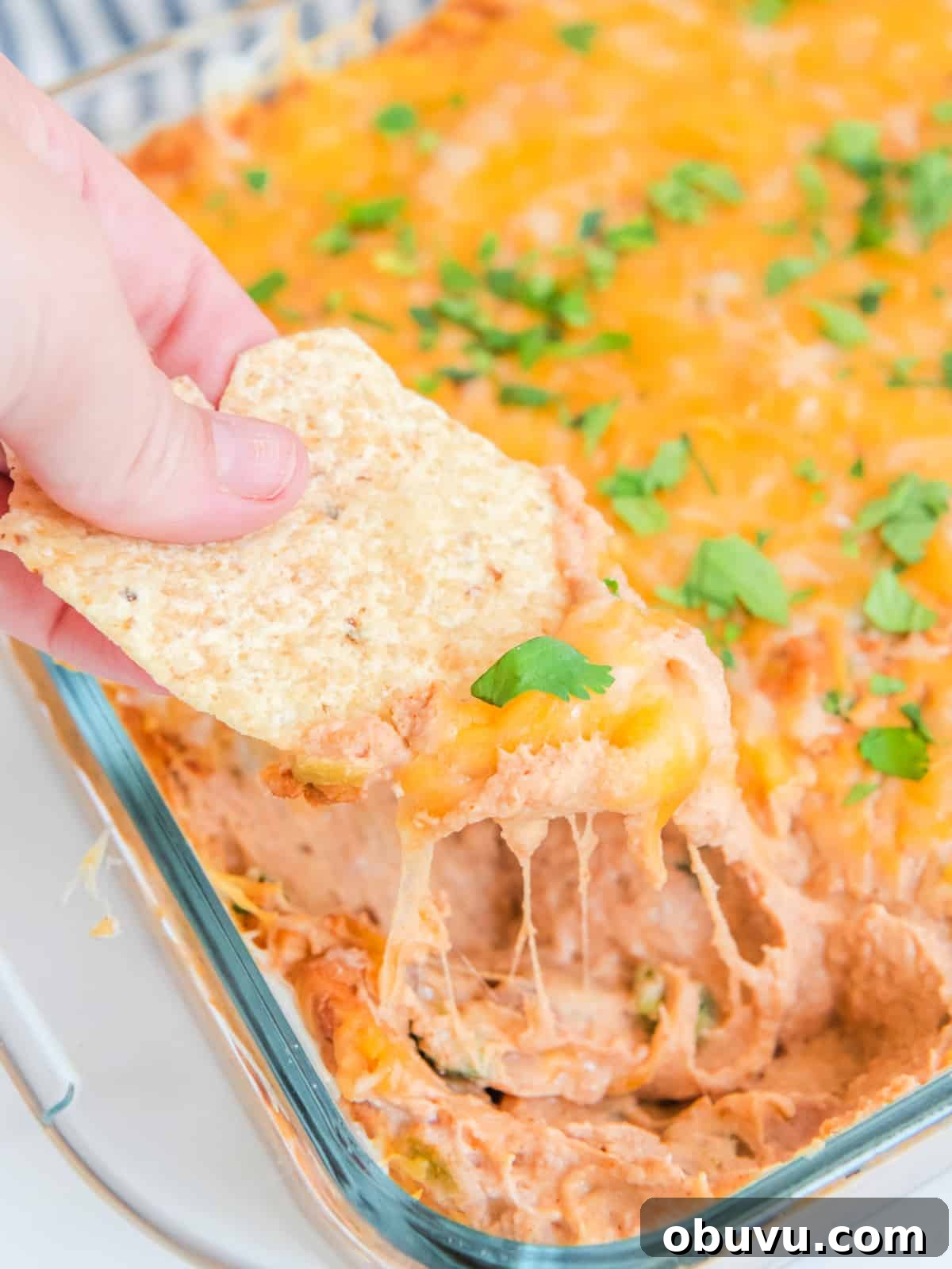 Cheesy Baked Refried Bean Dip for Parties and Game Day 7 A hand dips a tortilla chip into a cheesy bean dip in a glass baking dish, garnished with chopped green herbs.