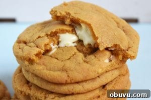 Butterscotch Cookies Stuffed with White Chocolate Chunks 2 White Chocolate Stuffed Butterscotch Cookies. Chewy butterscotch pudding cookies packed full of white chocolate for a melty, gooey middle. These use a butterscotch pudding mix to give the strong butterscotch flavour and to add chew to the cookie. #butterscotchcookies