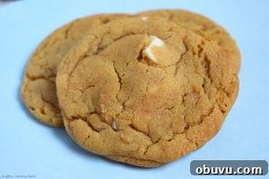 Butterscotch Cookies Stuffed with White Chocolate Chunks 3 White Chocolate Stuffed Butterscotch Cookies. Chewy butterscotch pudding cookies packed full of white chocolate for a melty, gooey middle. These use a butterscotch pudding mix to give the strong butterscotch flavour and to add chew to the cookie. #butterscotchcookies