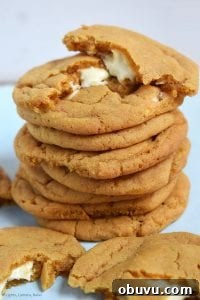 Butterscotch Cookies Stuffed with White Chocolate Chunks 4 White Chocolate Stuffed Butterscotch Cookies. Chewy butterscotch pudding cookies packed full of white chocolate for a melty, gooey middle. These use a butterscotch pudding mix to give the strong butterscotch flavour and to add chew to the cookie. #butterscotchcookies