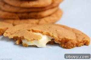 Butterscotch Cookies Stuffed with White Chocolate Chunks 5 White Chocolate Stuffed Butterscotch Cookies. Chewy butterscotch pudding cookies packed full of white chocolate for a melty, gooey middle. These use a butterscotch pudding mix to give the strong butterscotch flavour and to add chew to the cookie. #butterscotchcookies