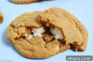 Butterscotch Cookies Stuffed with White Chocolate Chunks 6 White Chocolate Stuffed Butterscotch Cookies. Chewy butterscotch pudding cookies packed full of white chocolate for a melty, gooey middle. These use a butterscotch pudding mix to give the strong butterscotch flavour and to add chew to the cookie. #butterscotchcookies