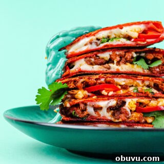 A stack of vegan quesadilla on a blue backdrop