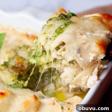 Chicken and broccoli pesto lasagna