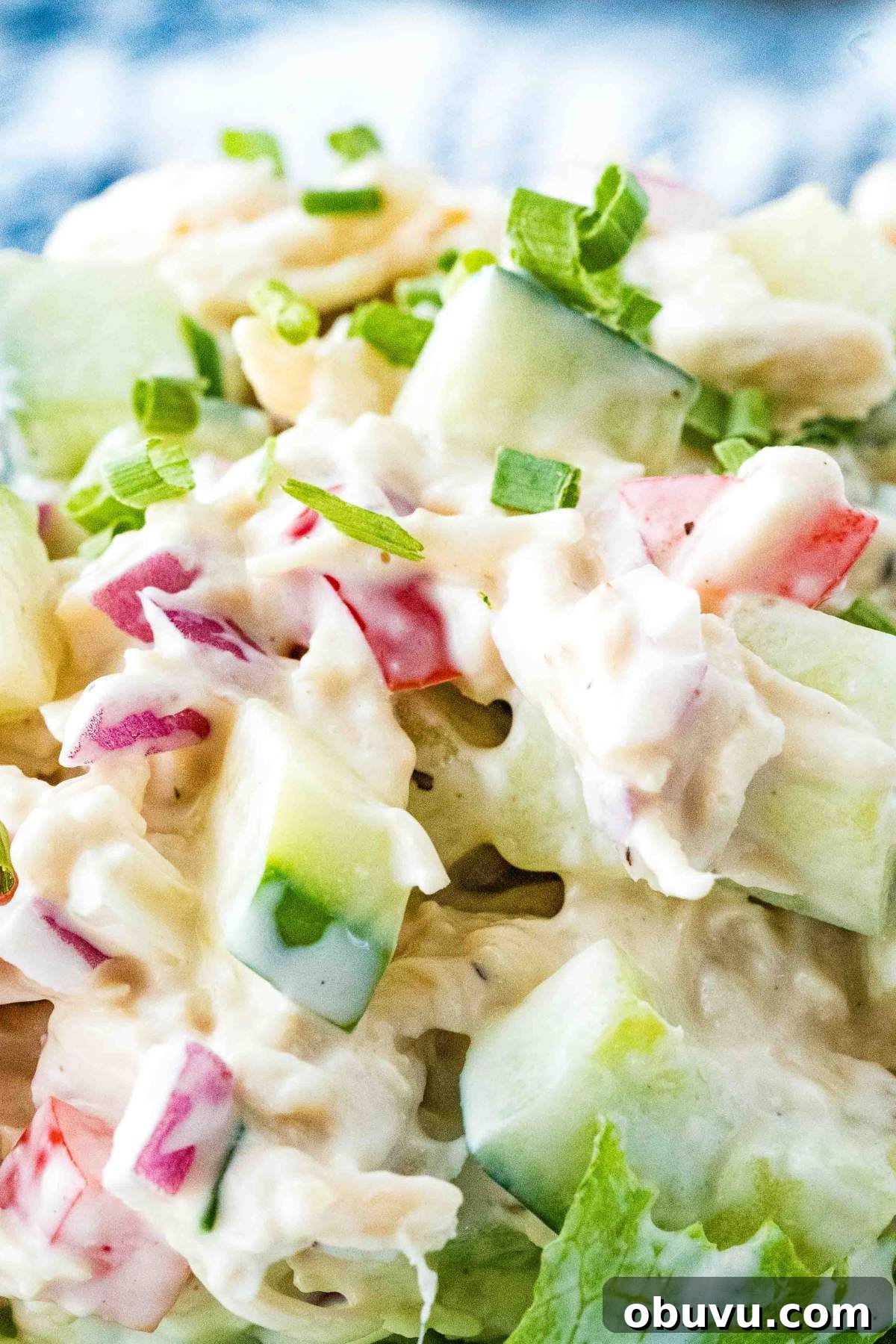 Chilled Cucumber and Chicken Salad with Creamy Dill Dressing 2 chicken salad with cucumbers on lettuce.
