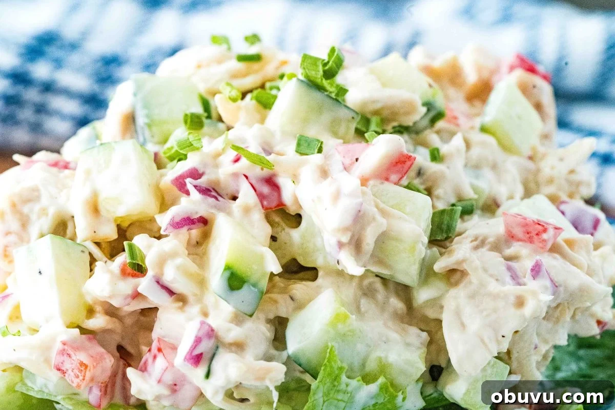 Chilled Cucumber and Chicken Salad with Creamy Dill Dressing 8 close up view of cucumber chicken salad