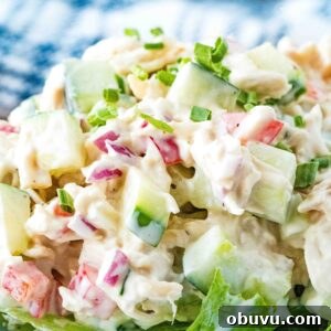 Chilled Cucumber and Chicken Salad with Creamy Dill Dressing 9 close up view of cucumber chicken salad.