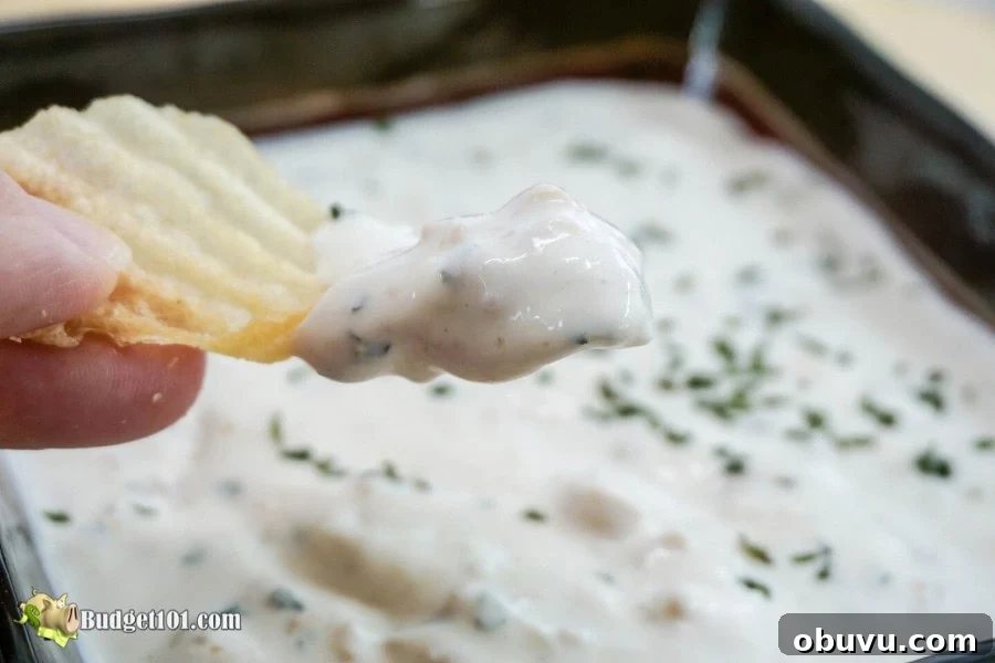 b101 new england clam dip 4 b101-new-england-clam-dip-4