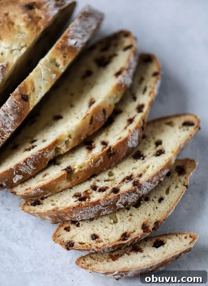 11 Must-Try Recipes to Cook Before St. Patrick’s Day 2 11 of my favorite Saint Patrick's Day recipes are here, like soda bread with salted honey butter and guinness short ribs with cauliflower mash. I howsweeteats.com #stpatricksday #recipes