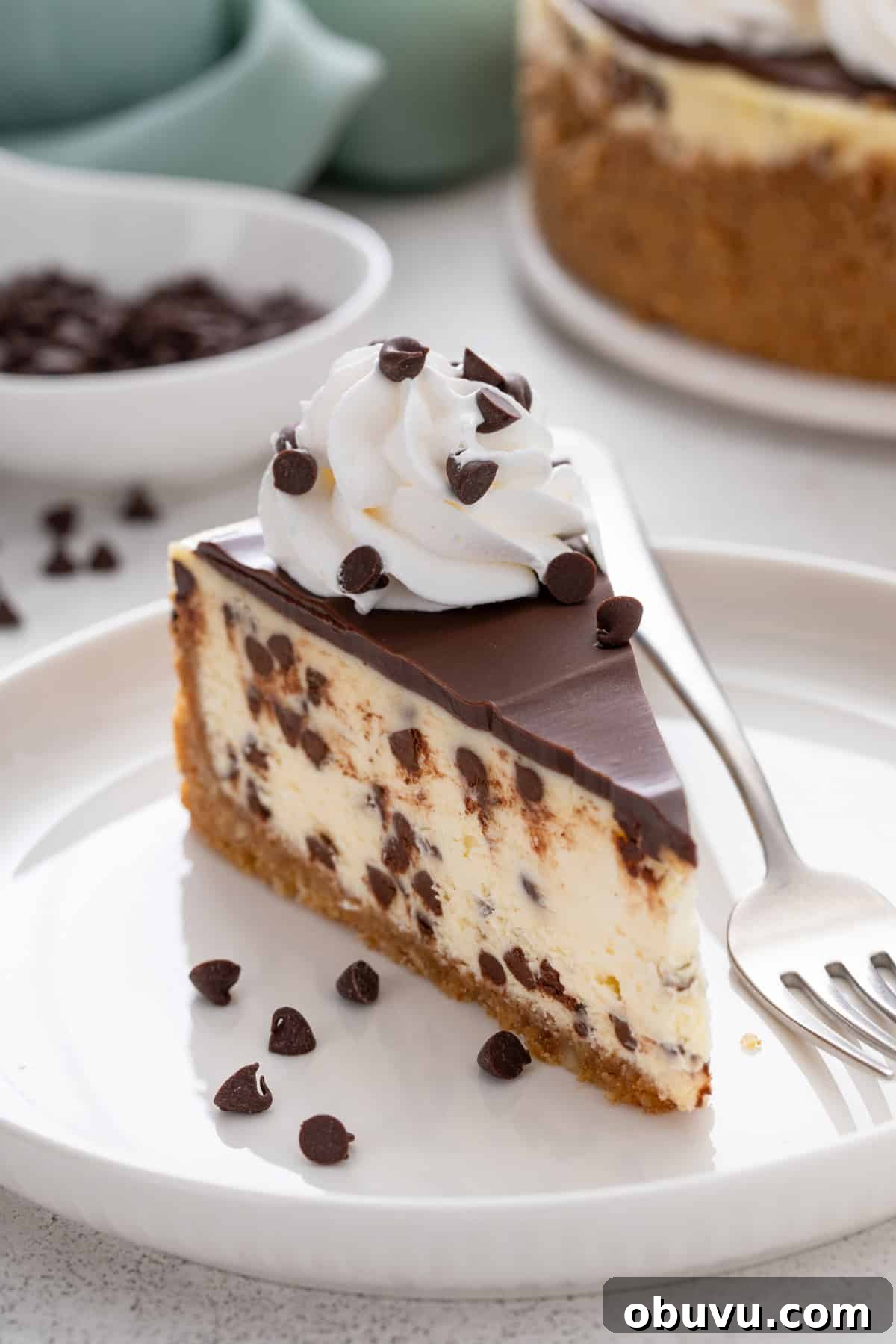 Slice of chocolate chip cheesecake garnished with whipped cream on a white plate.