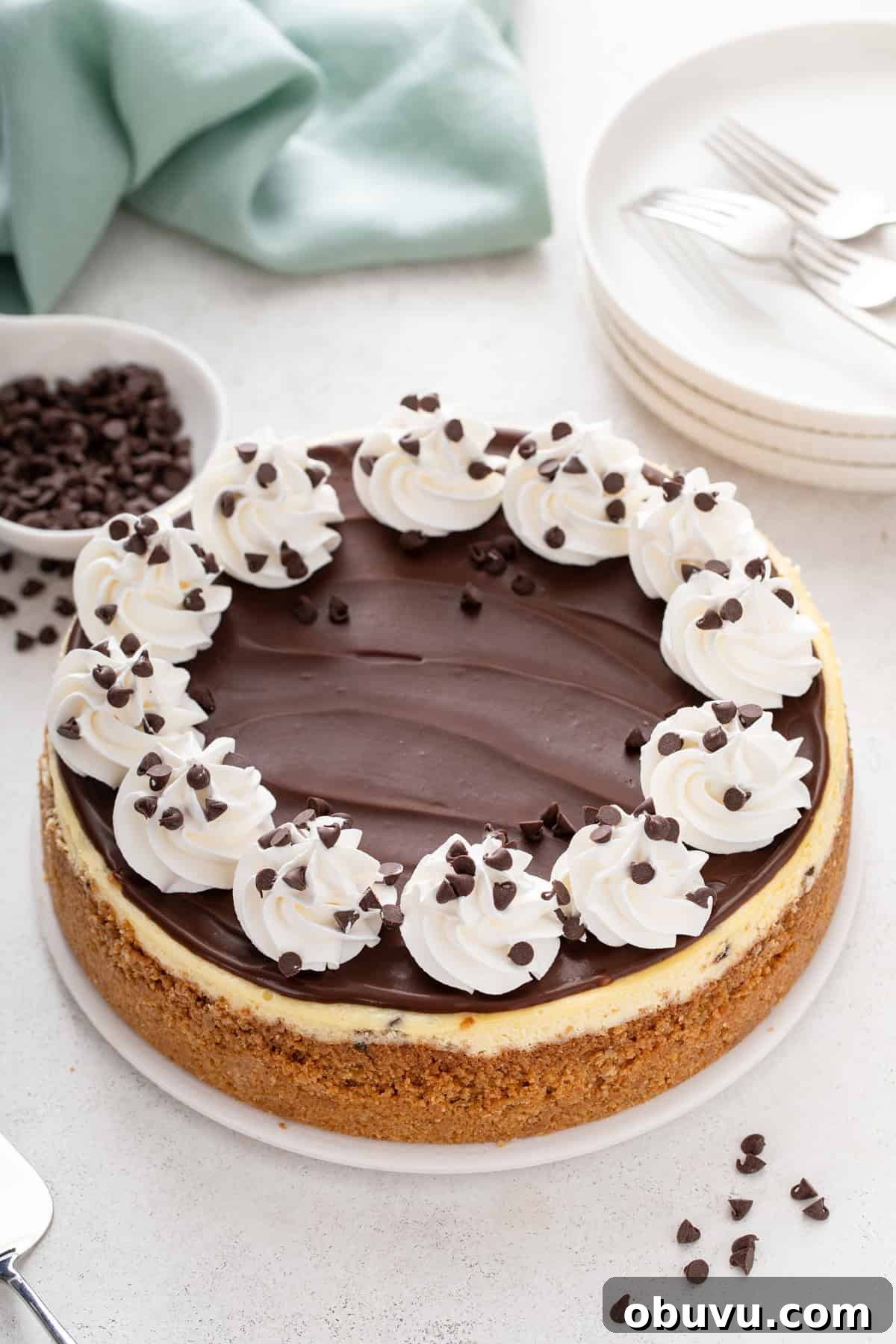 Chocolate chip cheesecake topped with chocolate ganache and whipped cream.