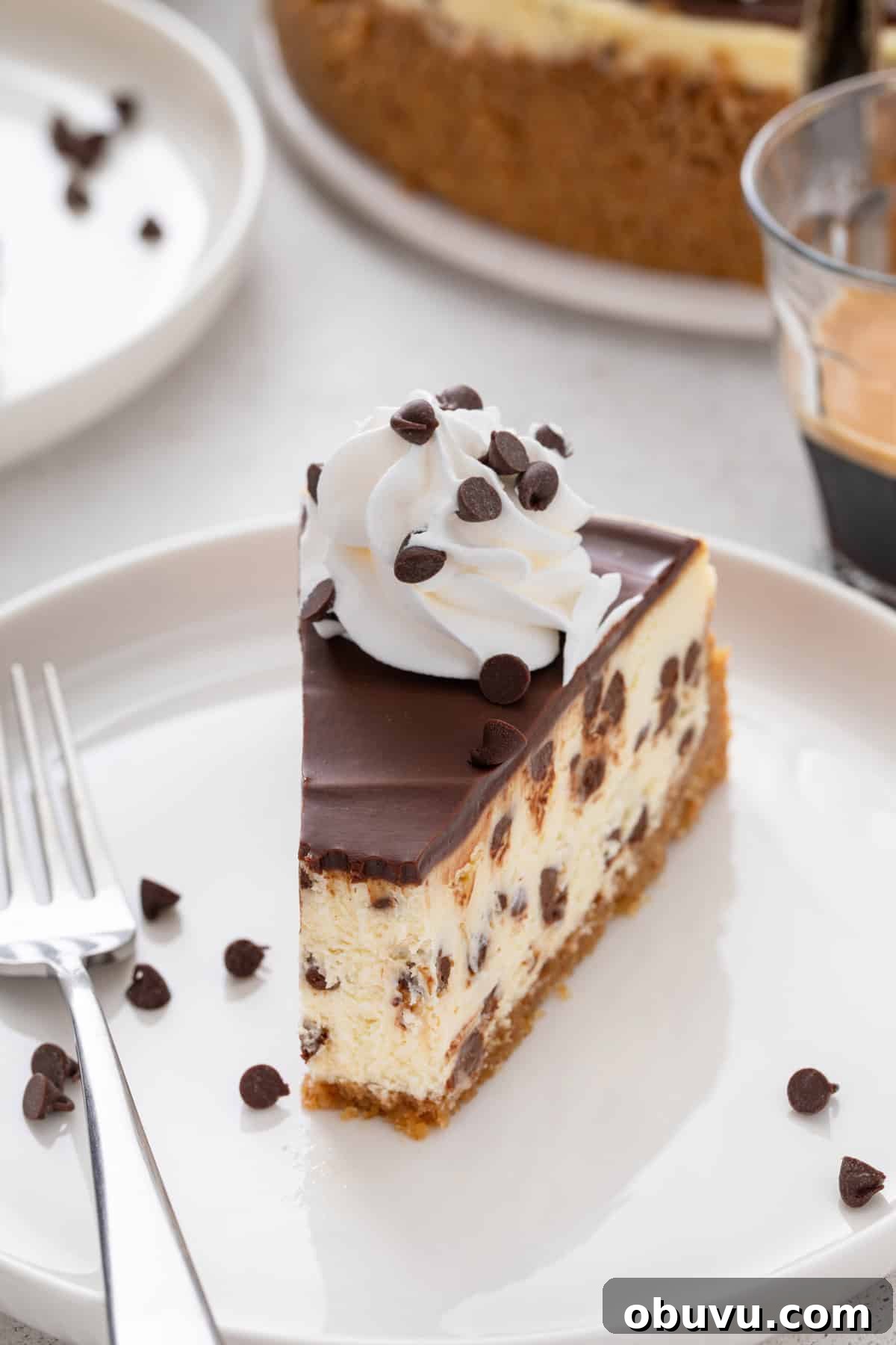 Bite taken from a slice of chocolate chip cheesecake on a white plate.