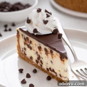 Slice of chocolate chip cheesecake on a white plate.