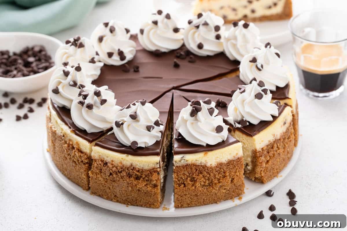 Sliced chocolate chip cheesecake garnished with whipped cream.