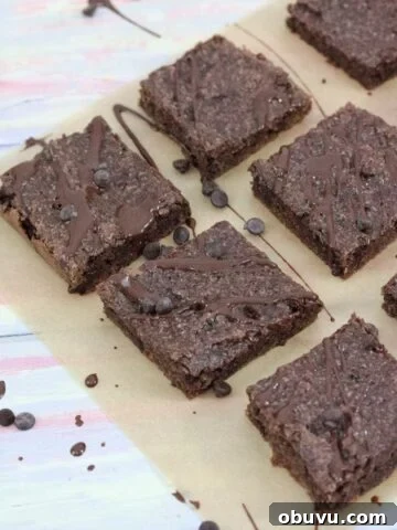Dairy-free chocolate brownies drizzled with chocolate sauce.