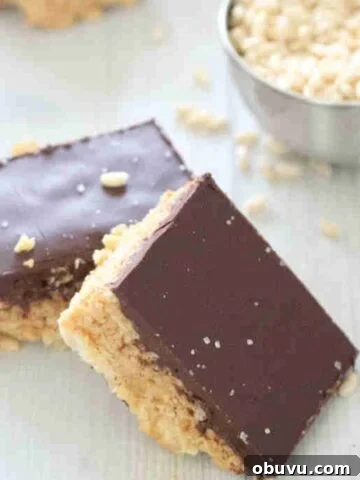 Two squares of protein rice krispies topped with chocolate.