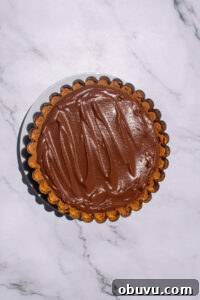 Decadent S'mores Pie Recipe with Gooey Chocolate and Marshmallow 8 s'mores pie
