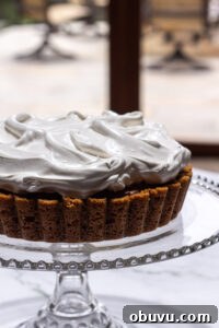 Decadent S'mores Pie Recipe with Gooey Chocolate and Marshmallow 9 s'mores pie