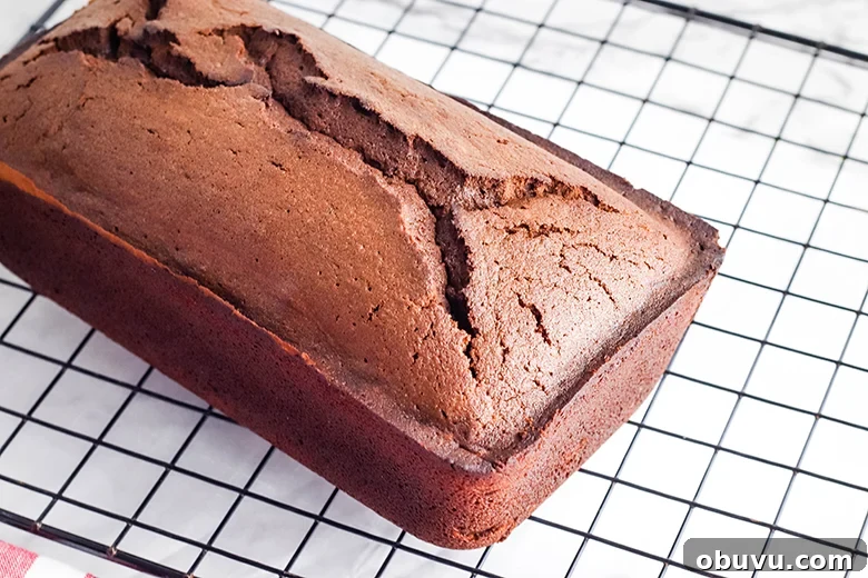 Chocolate Peppermint Pound Cake Recipe — Festive Holiday Dessert 10 Peppermint Chocolate Pound Cake On Wire Rack