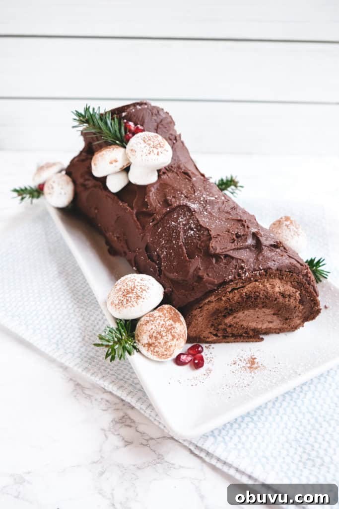 Classic French Yule Log Cake Recipe: Bûche de Noël Guide 2 img 701 1