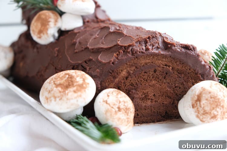Classic French Yule Log Cake Recipe: Bûche de Noël Guide 3 img 701 2