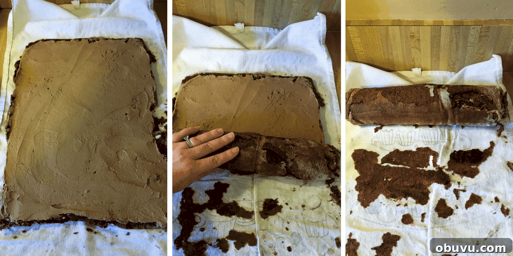 Classic French Yule Log Cake Recipe: Bûche de Noël Guide 15 img 701 20