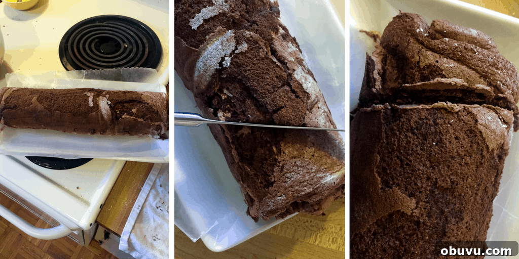 Classic French Yule Log Cake Recipe: Bûche de Noël Guide 16 img 701 21