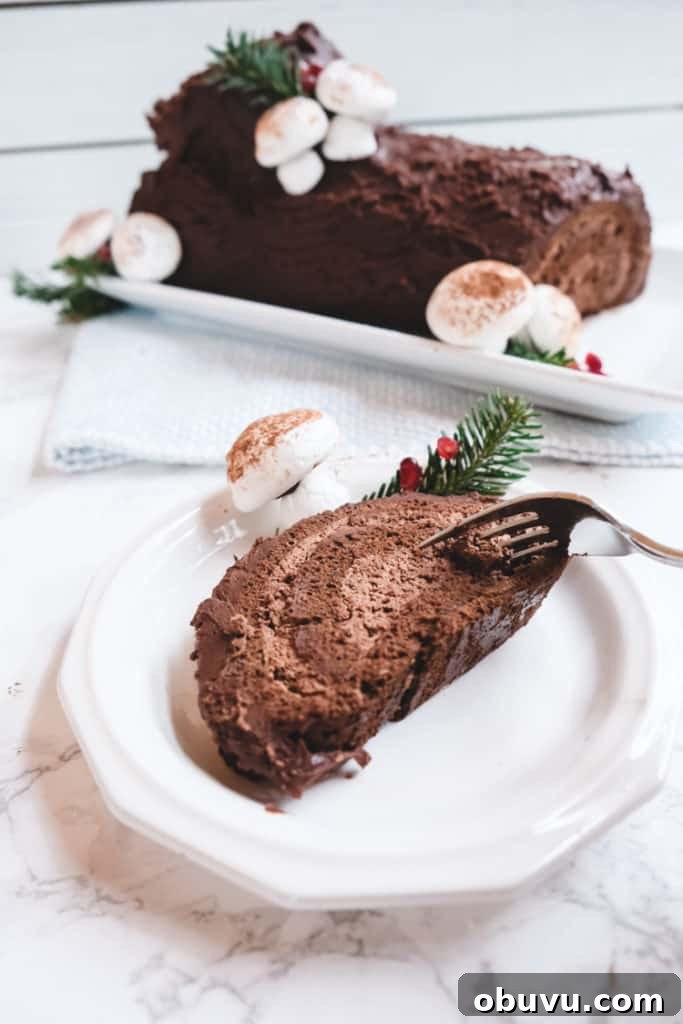 Classic French Yule Log Cake Recipe: Bûche de Noël Guide 19 img 701 27