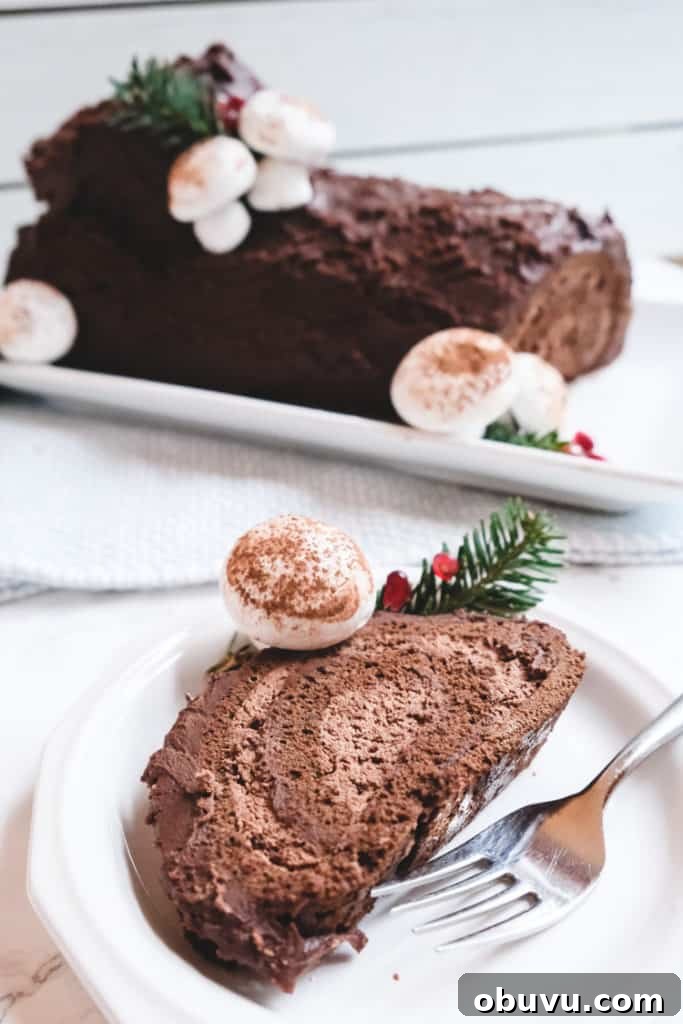 Classic French Yule Log Cake Recipe: Bûche de Noël Guide 4 img 701 3