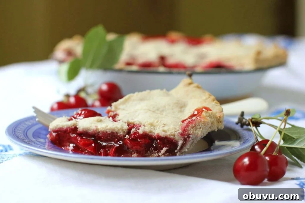 Evans cherry pie