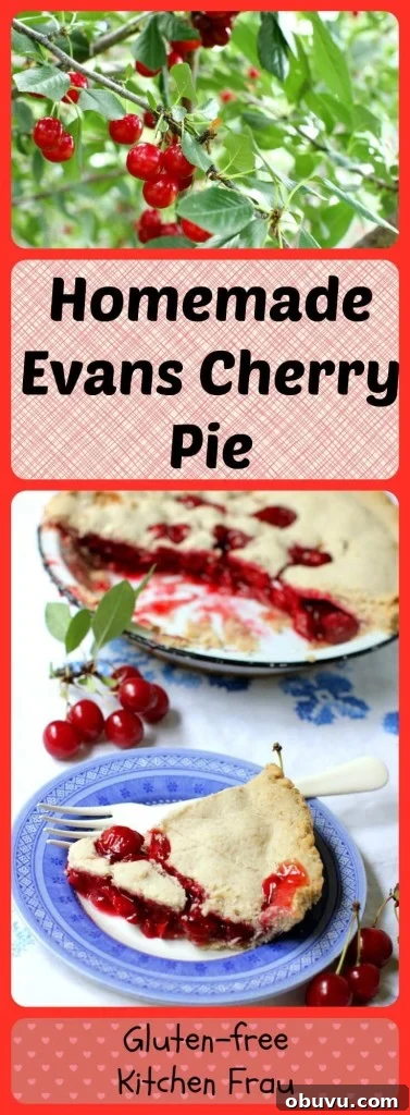 This classic sour cherry pie will make your mouth pucker and your guests beg for more! With a gluten-free crust option, too.
