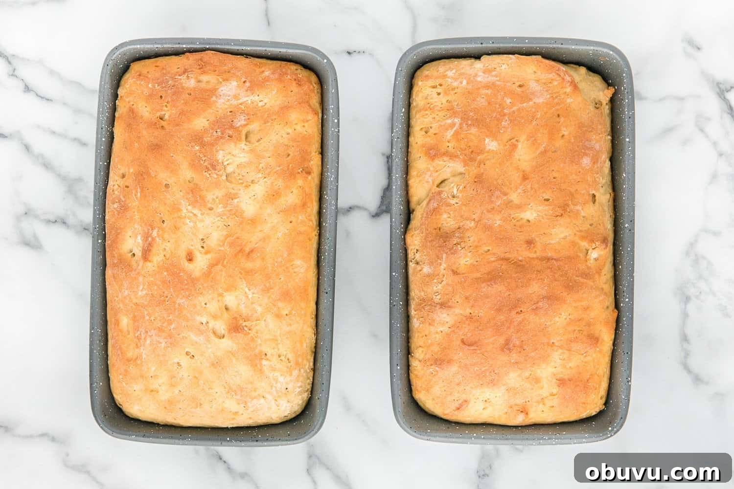Two loaves of whole wheat bread still in pan.