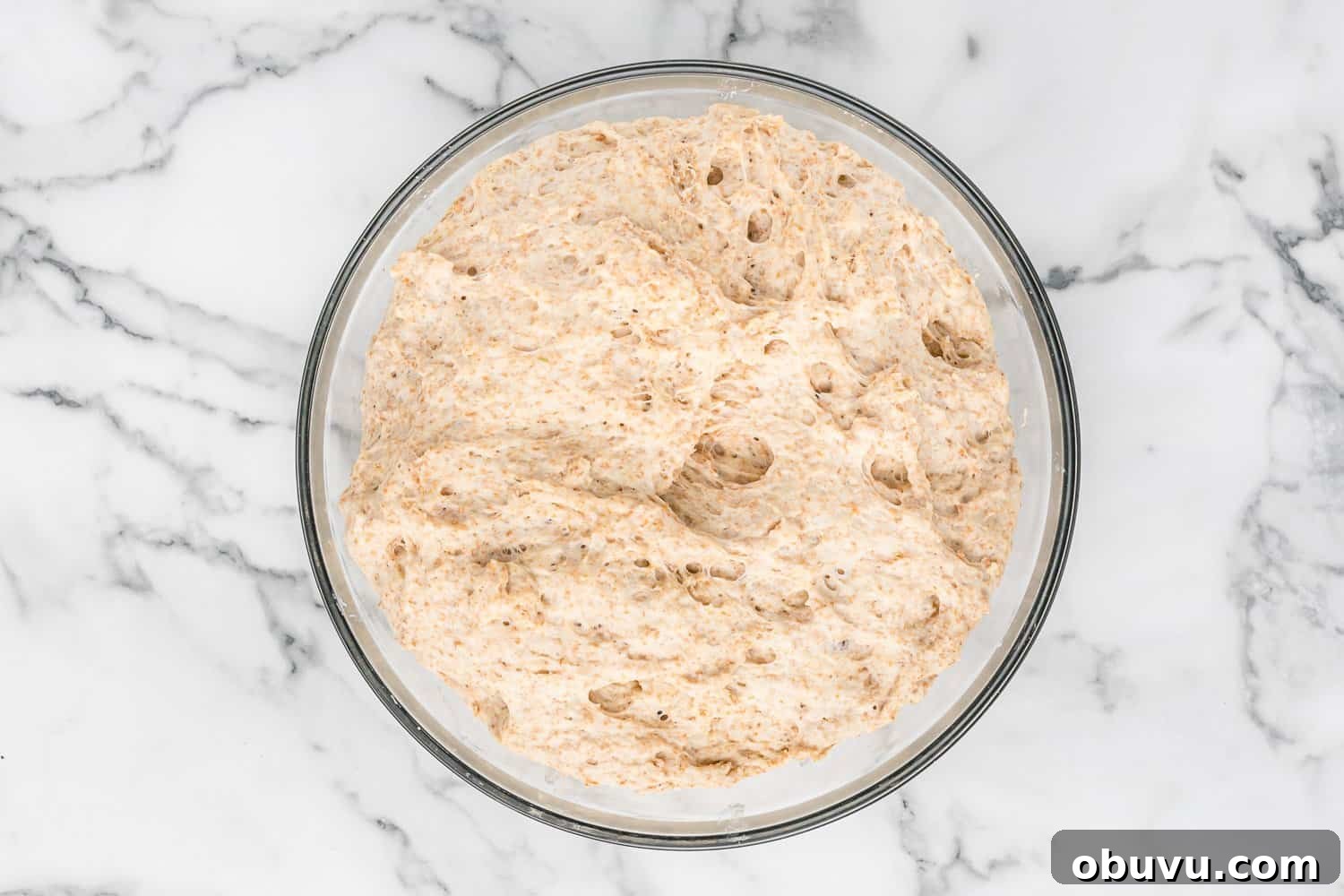 Whole wheat bread dough in clear glass mixing bowl.