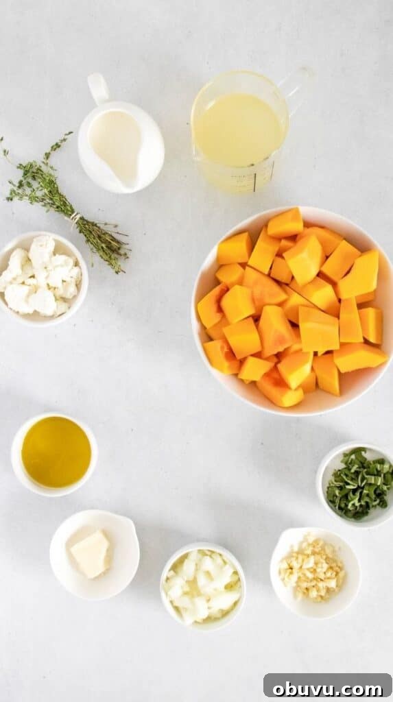 Creamy Instant Pot Butternut Squash Soup Recipe for Fall 3 img 7544 2