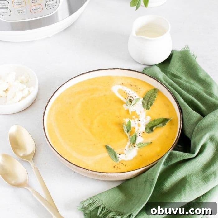 Creamy Instant Pot Butternut Squash Soup Recipe for Fall 6 vegetarian butternut squash soup