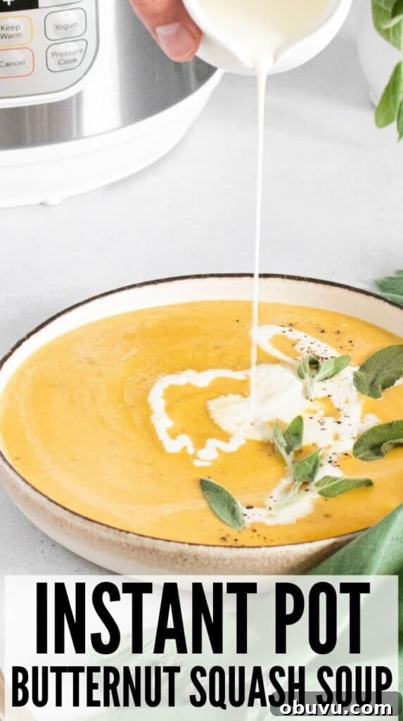 Creamy Instant Pot Butternut Squash Soup Recipe for Fall 8 instant pot butternut squash soup
