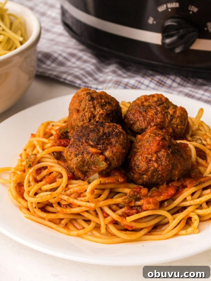close up of a plate of spaghetti and meatballs with a crock pot in the background