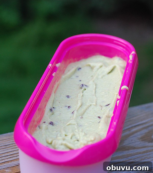 Banana Avocado Mint Ice Cream - No Ice Cream Maker Needed! Banana Avocado Mint Ice Cream - No Ice Cream Maker Needed!