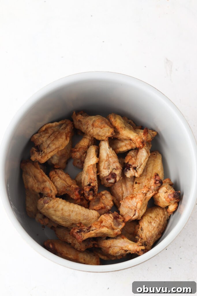 honey lemon pepper wings 4 air fried chicken wings
