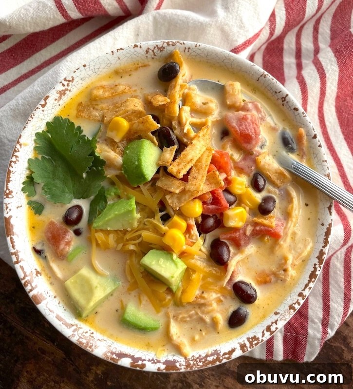 Creamy Chicken Taco Soup Recipe for Cozy Weeknight Dinners 11 The best easy chicken taco soup recipe in a bowl and ready to be served!