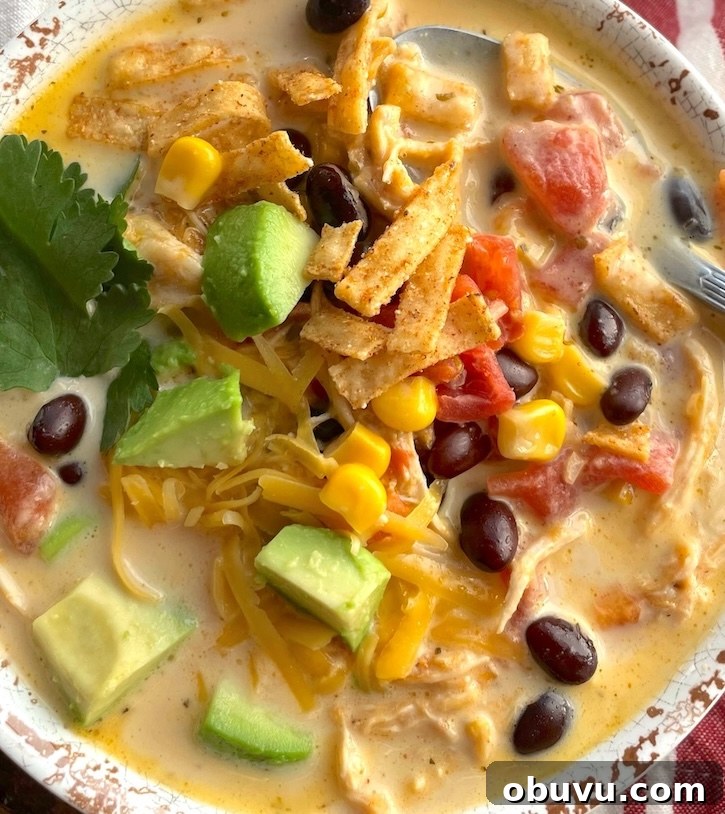 Creamy Chicken Taco Soup Recipe for Cozy Weeknight Dinners 12 Close up of yummy and creamy chicken taco soup garnished with fresh avocado, cilantro and tortilla chips.