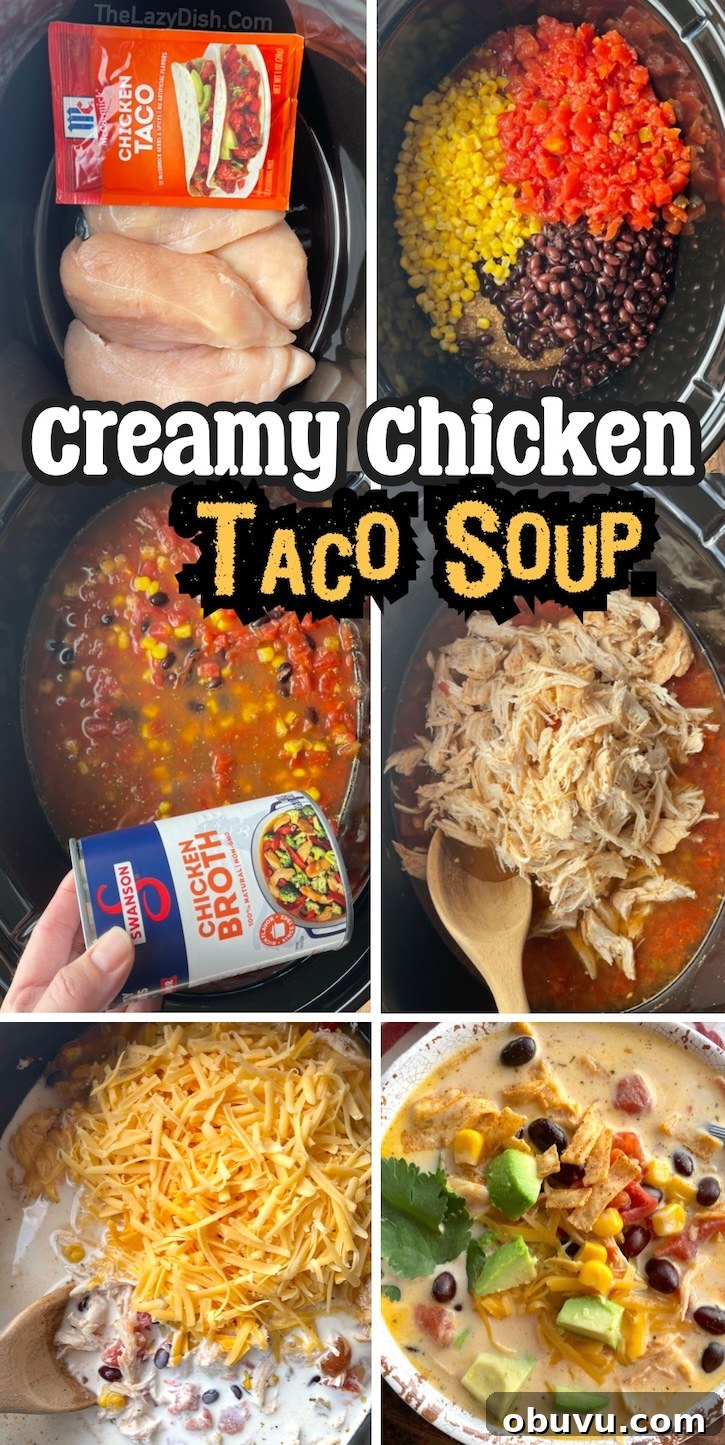 Creamy Chicken Taco Soup Recipe for Cozy Weeknight Dinners 16 Easy Creamy Chicken Taco Soup ready to serve.