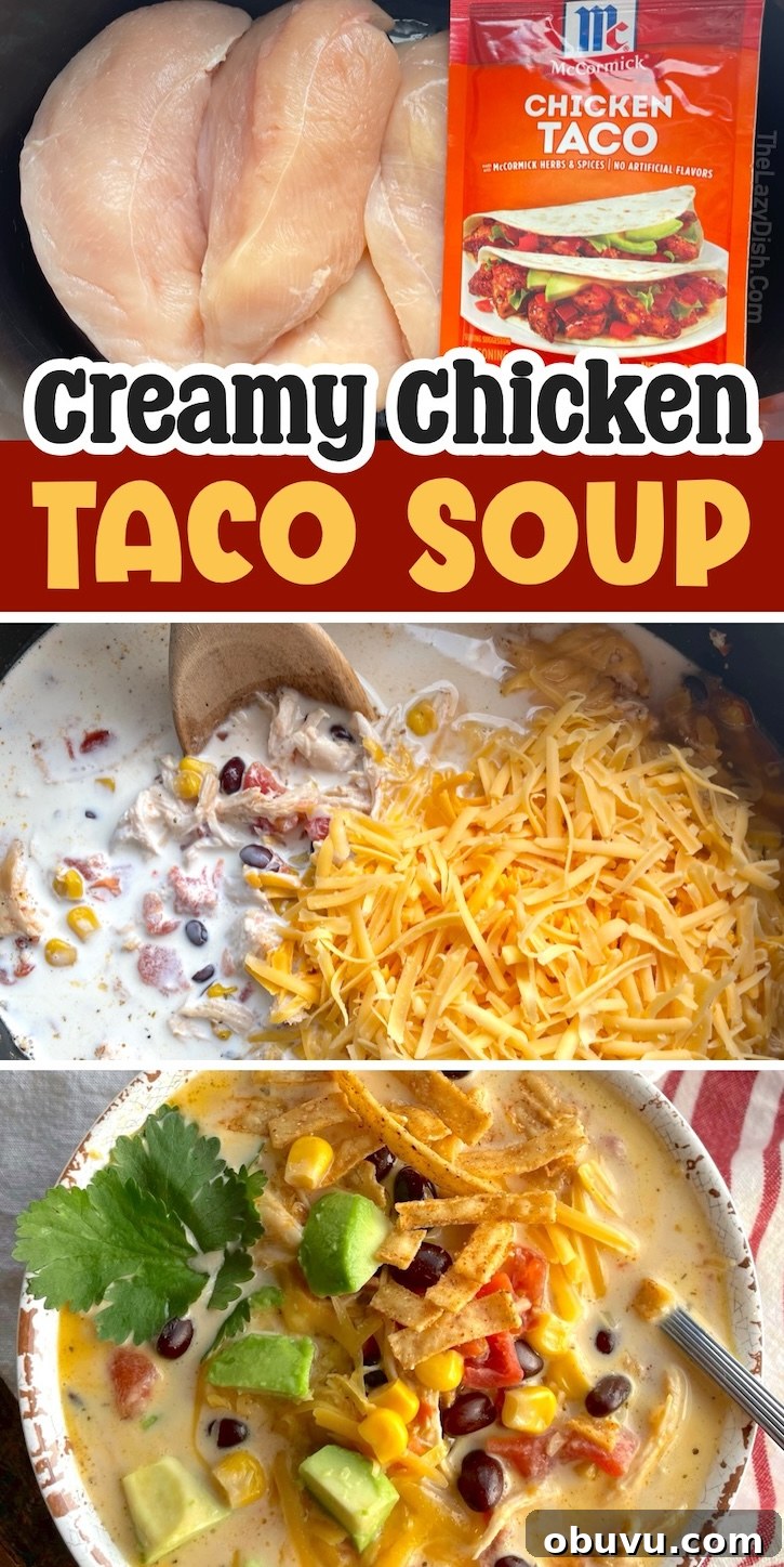 Creamy Chicken Taco Soup Recipe for Cozy Weeknight Dinners 17 Kids and families love this creamy chicken taco soup.