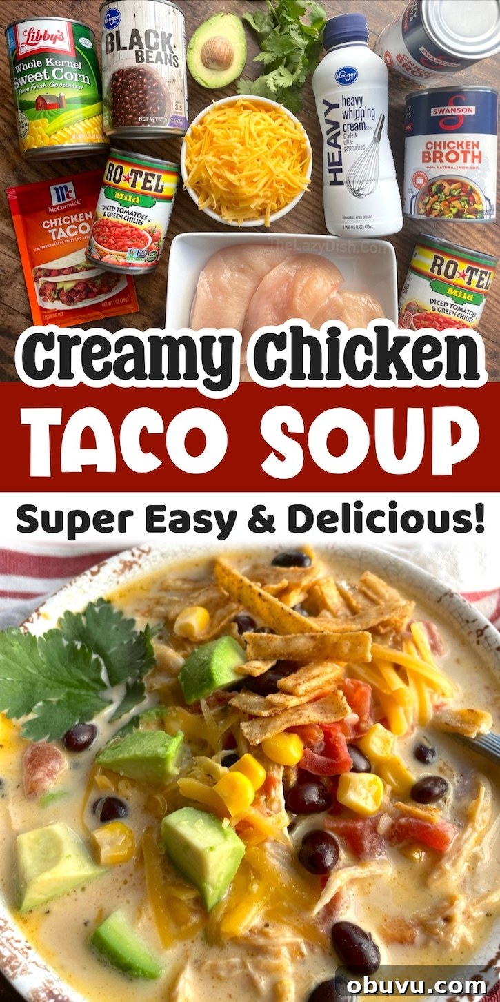 Creamy Chicken Taco Soup Recipe for Cozy Weeknight Dinners 18 This creamy chicken taco soup is a super easy and delicious dinner recipe for a family with kids.
