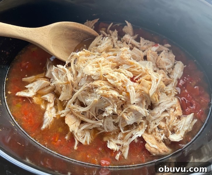 Creamy Chicken Taco Soup Recipe for Cozy Weeknight Dinners 8 Shredded chicken breasts in a crockpot with an easy to make taco soup recipe.