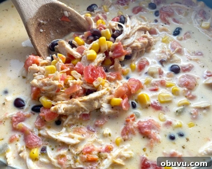 Creamy Chicken Taco Soup Recipe for Cozy Weeknight Dinners 10 Creamy chicken taco tortilla soup in a slow cooker being mixed with a spoon.