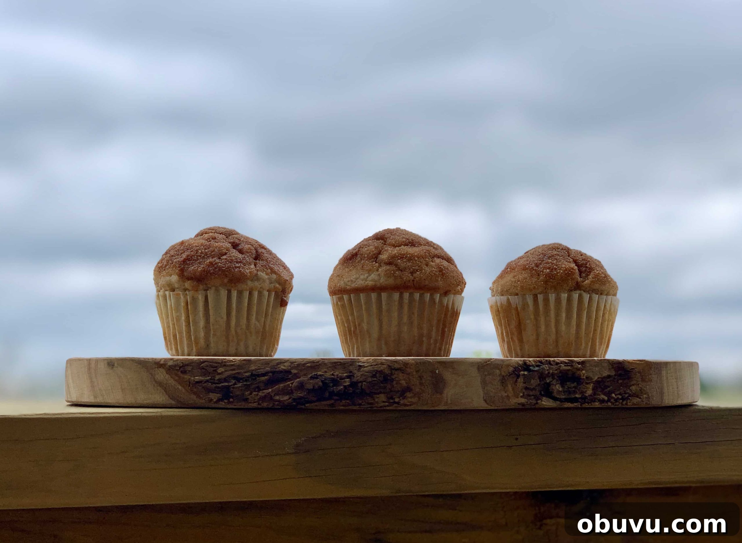 Irresistible Cinnamon Sugar Muffins with Crunchy Streusel Topping 3 Baked muffins
