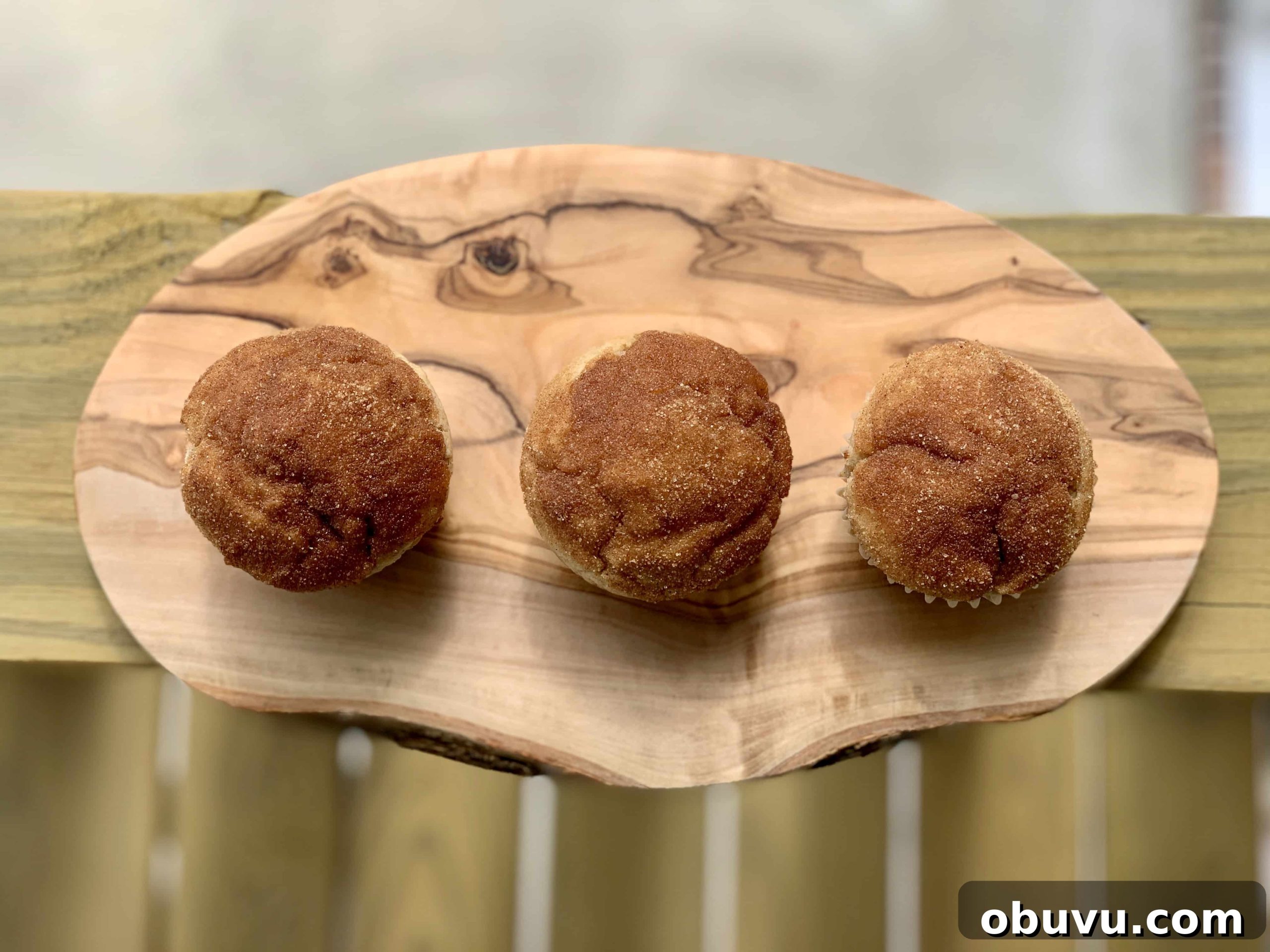 Irresistible Cinnamon Sugar Muffins with Crunchy Streusel Topping 4 Cinnamon sugar topping